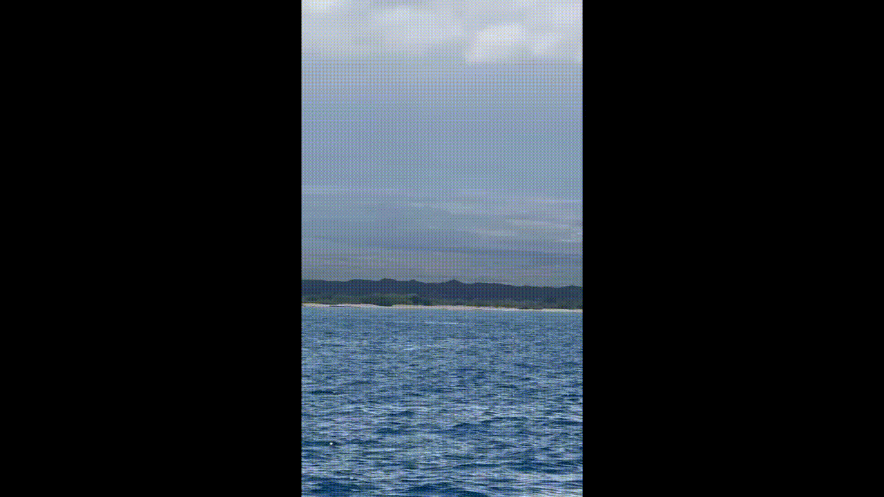 First Whale!