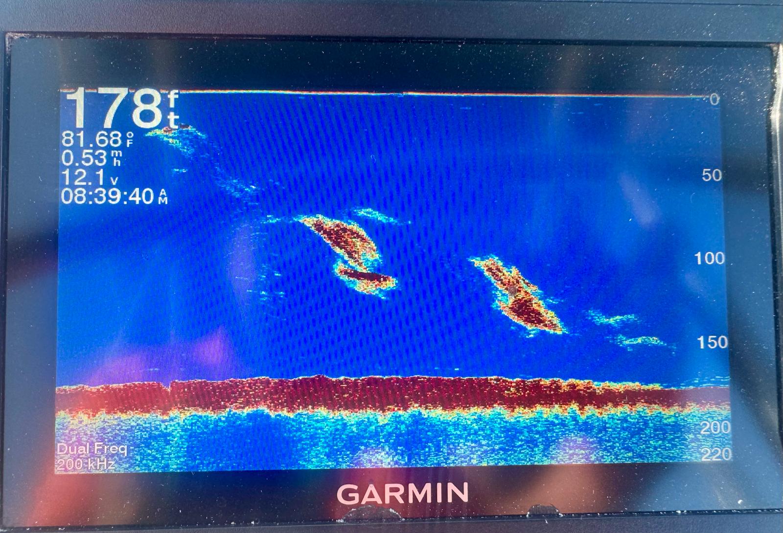 Humpbacks on the fish finder